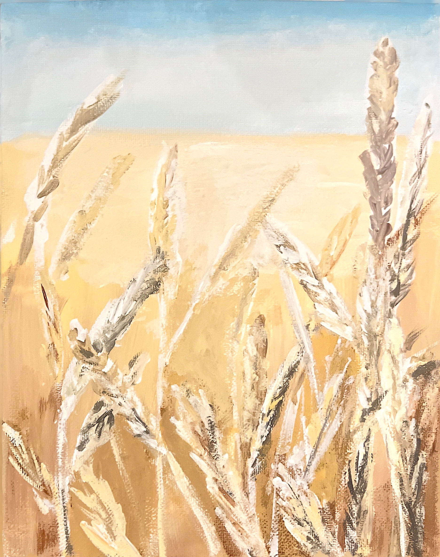 Wheat Field. Procreate Digital Painting. October 27, 2022